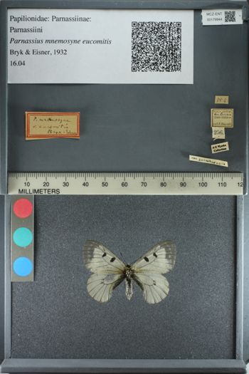 Media type: image;   Entomology 179944